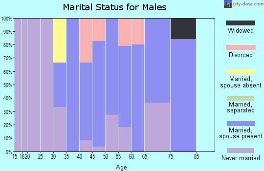 Zip code 05343 marital status for males