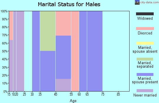 Zip code 05344 marital status for males