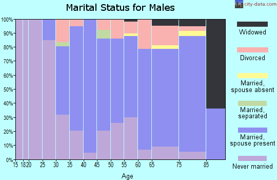 Zip code 05345 marital status for males