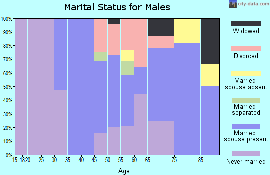 Zip code 05350 marital status for males