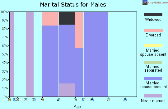 Zip code 05351 marital status for males