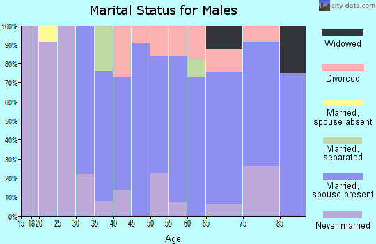 Zip code 05352 marital status for males