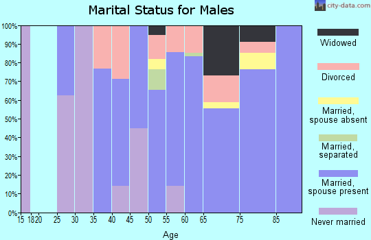 Zip code 05353 marital status for males