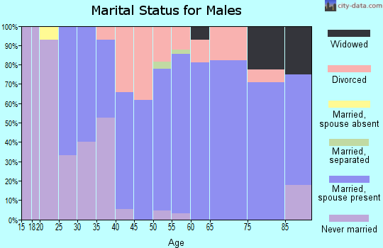 Zip code 05354 marital status for males