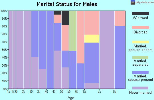 Zip code 05355 marital status for males