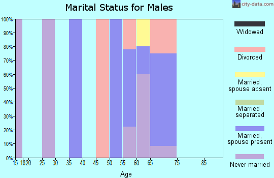 Zip code 05358 marital status for males