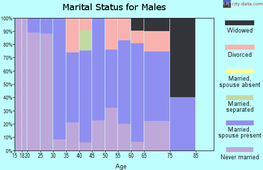 Zip code 05361 marital status for males