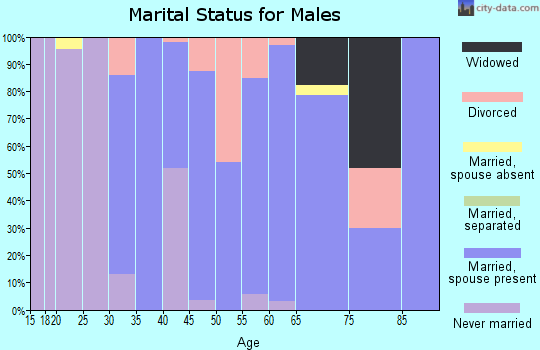Zip code 05363 marital status for males