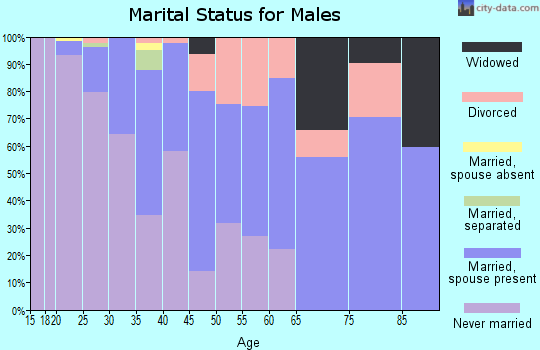 Zip code 05404 marital status for males