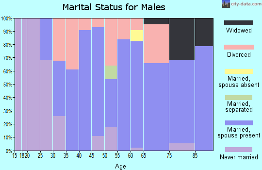 Zip code 05440 marital status for males