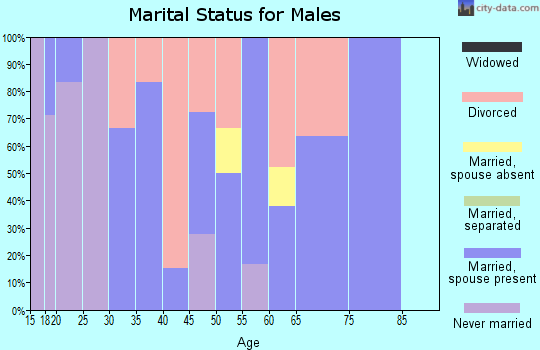 Zip code 05442 marital status for males