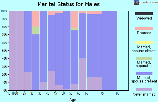 Zip code 05444 marital status for males