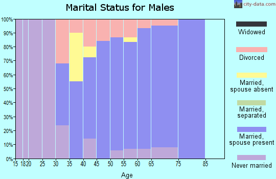 Zip code 05445 marital status for males