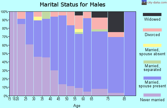 Zip code 05450 marital status for males