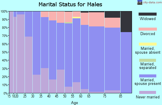 Zip code 05452 marital status for males