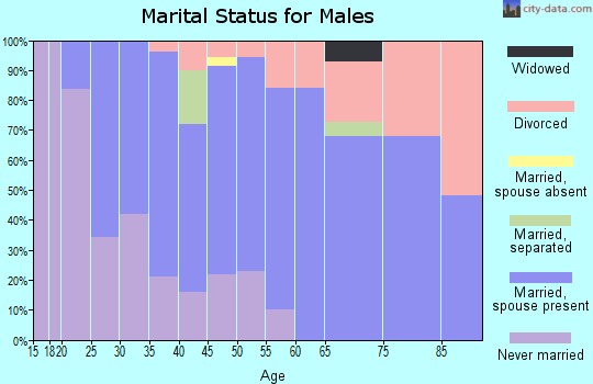 Zip code 05454 marital status for males