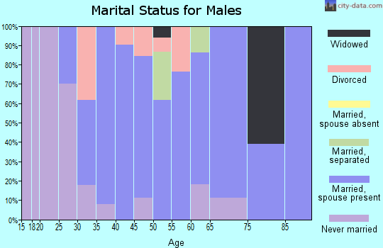 Zip code 05455 marital status for males