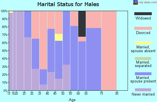Zip code 05456 marital status for males