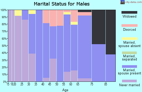 Zip code 05458 marital status for males