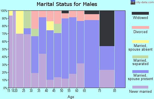 Zip code 05462 marital status for males