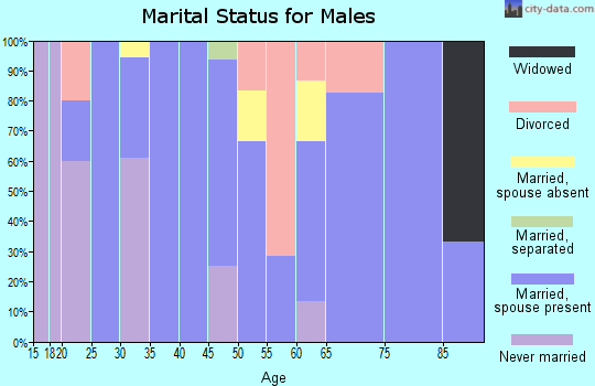 Zip code 05463 marital status for males