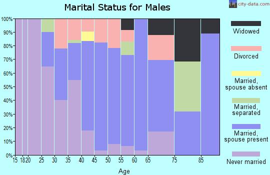 Zip code 05464 marital status for males