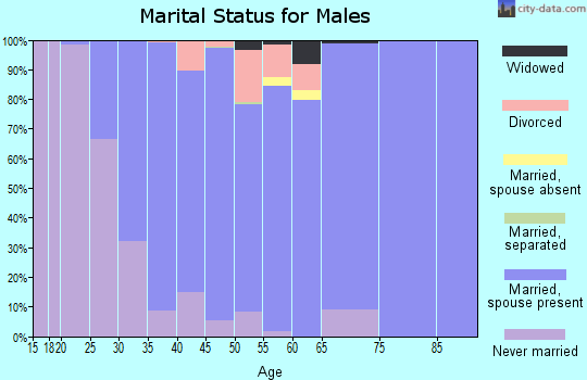 Zip code 05465 marital status for males