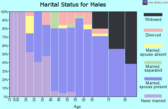 Zip code 05472 marital status for males