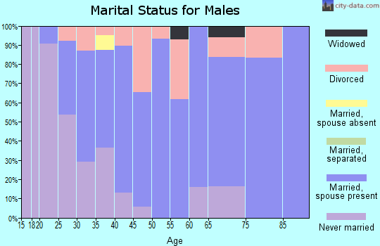 Zip code 05483 marital status for males