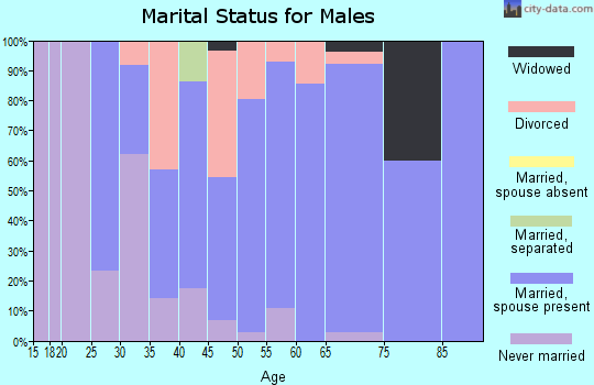 Zip code 05486 marital status for males
