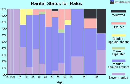 Zip code 05487 marital status for males