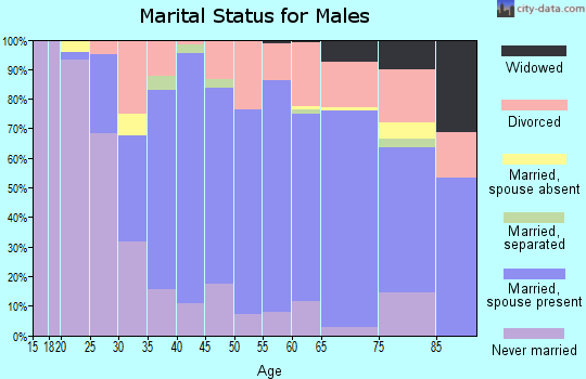 Zip code 05491 marital status for males