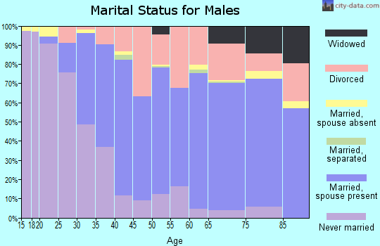 Zip code 05602 marital status for males