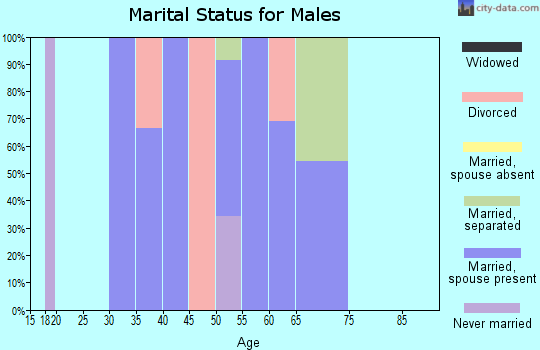 Zip code 05640 marital status for males