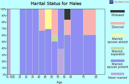 Zip code 05648 marital status for males