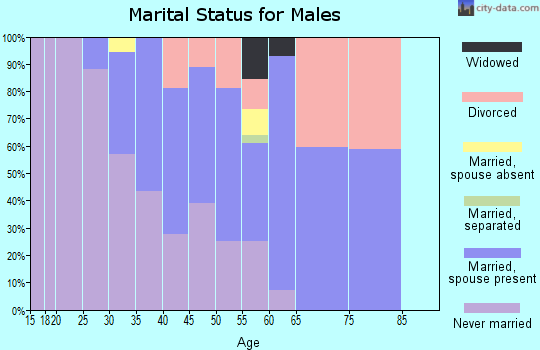 Zip code 05650 marital status for males