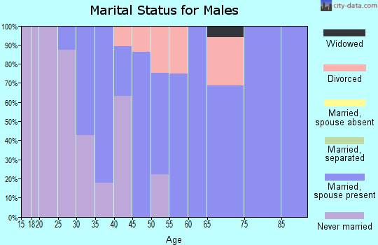 Zip code 05651 marital status for males