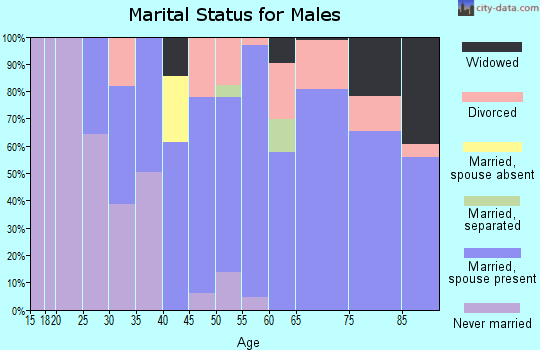 Zip code 05655 marital status for males