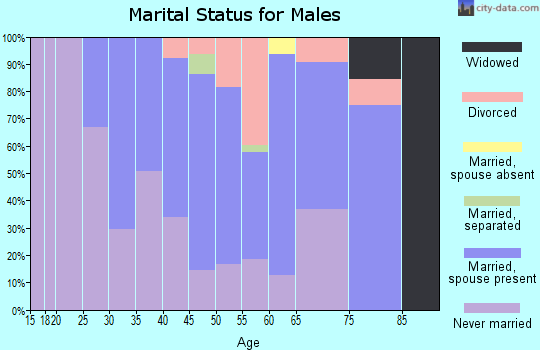 Zip code 05656 marital status for males