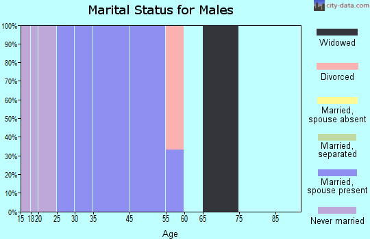 Zip code 05666 marital status for males