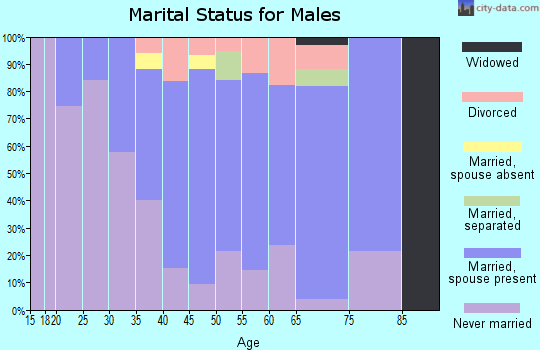 Zip code 05673 marital status for males