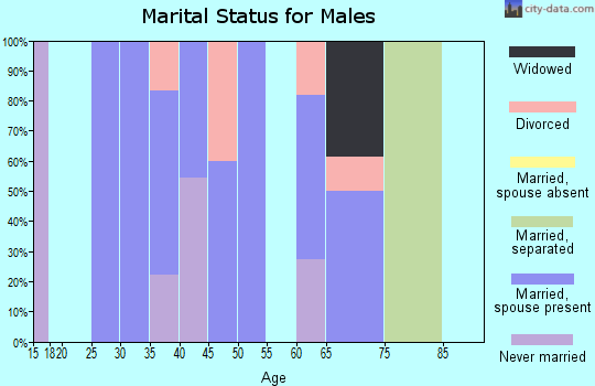 Zip code 05681 marital status for males