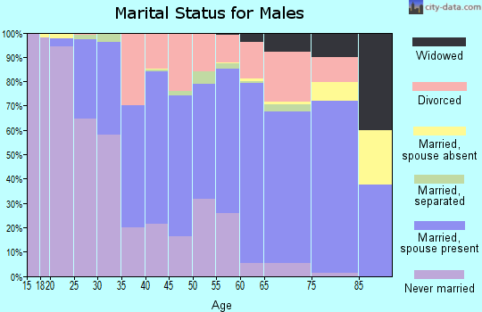 Zip code 05701 marital status for males