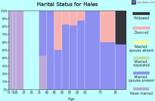 Zip code 05730 marital status for males