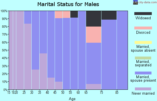 Zip code 05737 marital status for males