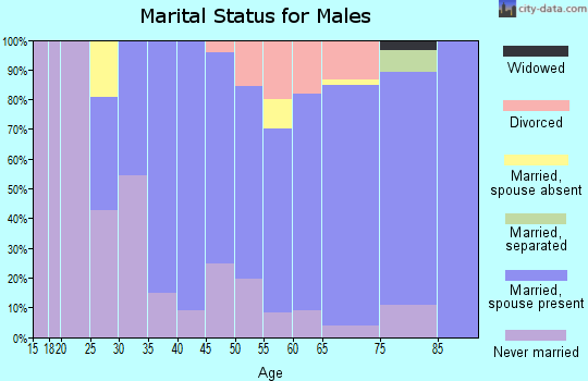 Zip code 05739 marital status for males