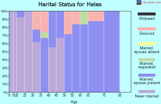 Zip code 05747 marital status for males