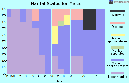 Zip code 05751 marital status for males