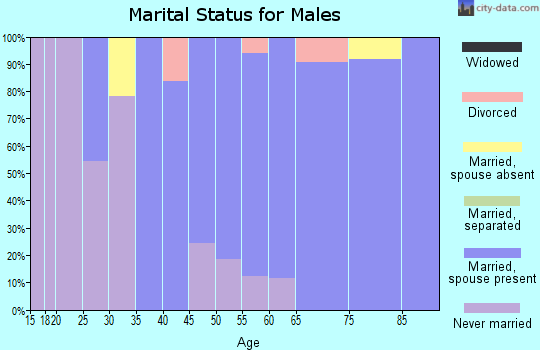 Zip code 05760 marital status for males