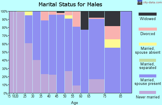 Zip code 05764 marital status for males